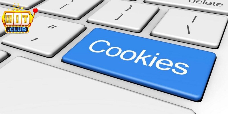 Nội dung chi tiết của chính sách Cookie Hitclub